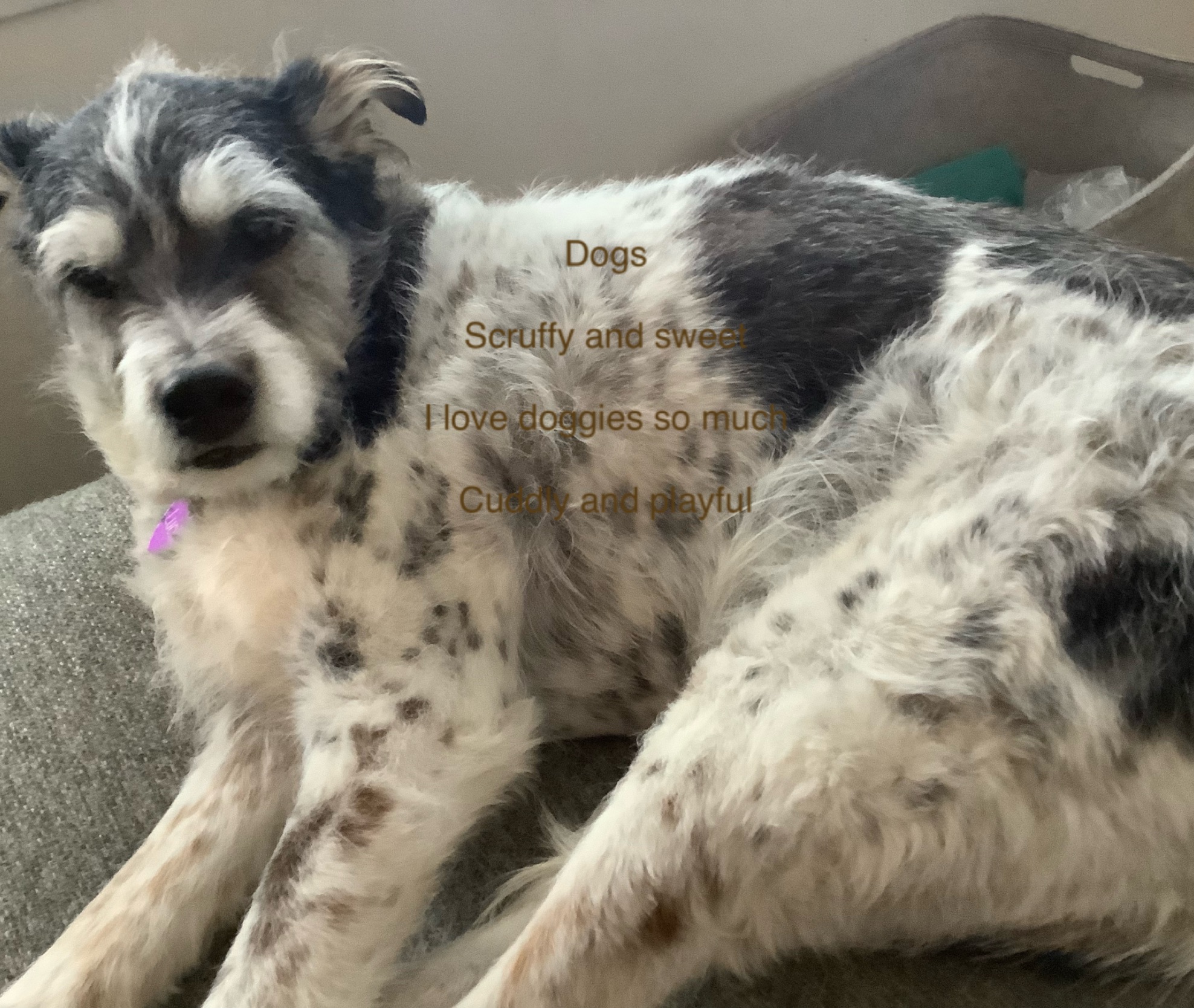 Screenshot 2025-02-14 at 3.41.18 PM